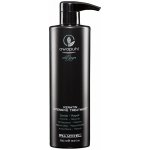 Paul Mitchell Awapuchi Wild Ginger Keratin Intensive Treatment 500 ml – Hledejceny.cz