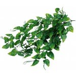 Lucky Reptile Jungle Plants Philo 50 cm – Hledejceny.cz