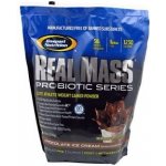 Gaspari Nutrition REAL MASS 2720 g – Hledejceny.cz