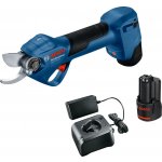 Bosch GGP 12V-25 06008D8100 – Zboží Mobilmania