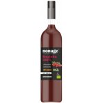 Nonage Juice 100% Brusinka Premium Bio 0,5 l – Sleviste.cz