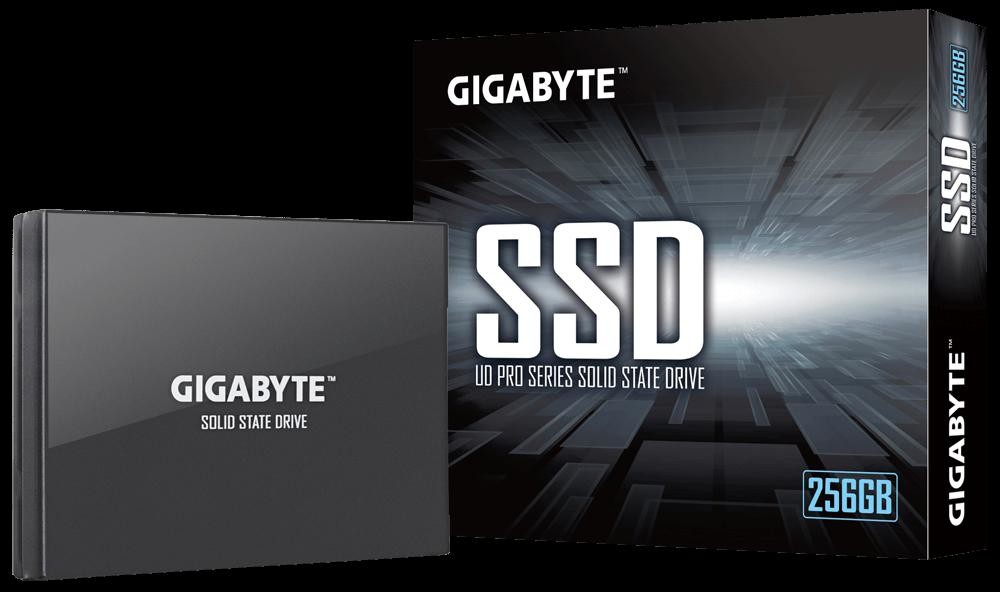 Gigabyte PRO 256GB, GP-GSTFS30256GTTD