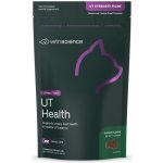 VetriScience UT Strenght Everyday moč. cesty koček 90 g – Zboží Dáma