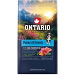Ontario Puppy & Junior All Breeds Monoprotein Tuna & Sweet Potatoes 2 x 6,5 kg – Hledejceny.cz