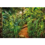 Komar 8-989 Fototapeta Jungle Trail rozměr 368 cm x 254 cm – Hledejceny.cz