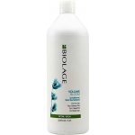 Matrix Biolage VolumeBloom Conditioner 1000 ml – Hledejceny.cz