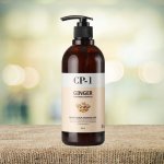 CP1 Ginger Purifying Shampoo s extraktem ze zázvoru 500 ml – Zboží Mobilmania