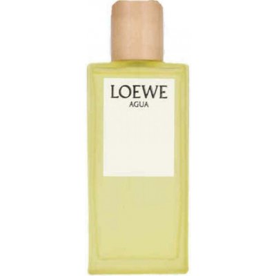Agua Loewe parfém unisex 100 ml – Hledejceny.cz