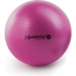 Ledragomma GymnastikBall Maxafe 75 cm – Zbozi.Blesk.cz