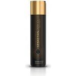 Sebastian Dark Oil Shampoo 250 ml – Zboží Mobilmania