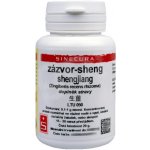 Sinecura Zázvor sheng shengjiang instantní prášek 20 g – Hledejceny.cz
