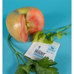 Integra Boost Terpene Essentials Terpinolen 4g, 62%, 1 ks – Hledejceny.cz