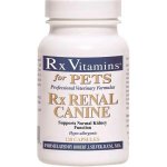 RX Vitamins RX Renal Canine tobolky 120 ks – Hledejceny.cz