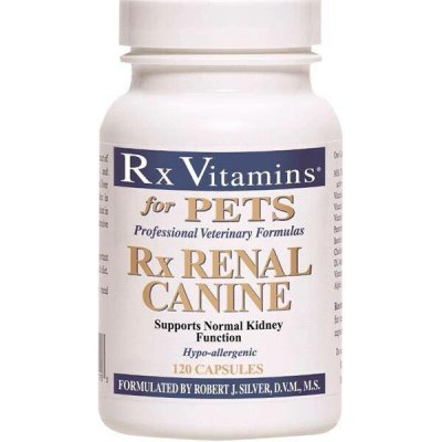 RX Vitamins RX Renal Canine tobolky 120 ks – Hledejceny.cz