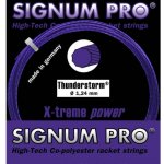 Signum Pro Thunderstorm 12m 1,24mm – Hledejceny.cz