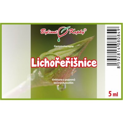 Bylinné kapky Gemmoterapie Lichořeřišnice pupeny tinktura z pupenů 5 ml – Hledejceny.cz