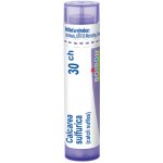 CALCAREA SULFURICA POR 30CH GRA 1X4G – Hledejceny.cz