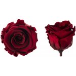 Hlavy růží - princess 16 ks Burgundy - tmavě červená – Hledejceny.cz