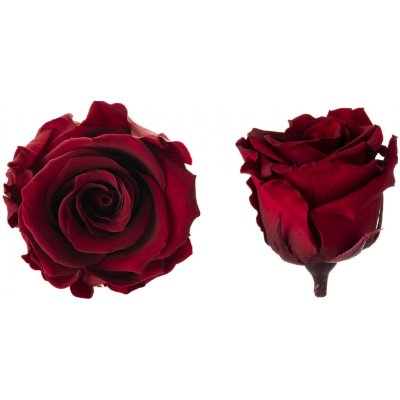 Hlavy růží - princess 16 ks Burgundy - tmavě červená – Hledejceny.cz