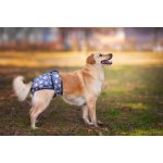 Vsepropejska Lemi hárací kalhotky pro psa 15 - 22 cm – Zboží Mobilmania