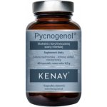 Kenay Pycnogenol Extrakt z kůry francouzské borovice přímořské 60 kapslí – Hledejceny.cz