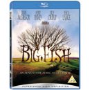 Big Fish BD