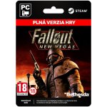 Fallout: New Vegas – Zboží Dáma