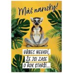 Albi Hrací přání k narozeninám - Lemur – Sleviste.cz