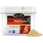 HORSE MASTER Best Hoof Biotine 10 kg – Hledejceny.cz
