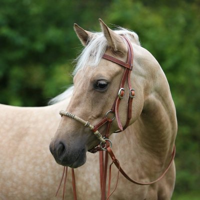 *W* Sidepull Cassini Knoted – Zboží Mobilmania