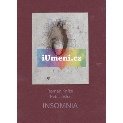 Insomnia - Roman Kníže texty, Václav Malina, Petr Jindra obrazová část – Sleviste.cz