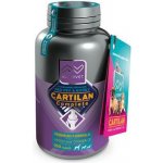 Altervet Cartilan Complete 100 tbl – Zbozi.Blesk.cz