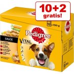 Pedigree Vital Protection mix 12 x 100 g – Sleviste.cz