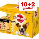 Pedigree masový výběr a zelenina ve šťávě 12 x 100 g – Hledejceny.cz