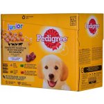 Pedigree Vital Protection 100% kompletní výživa v želé 12 x 100 g – Hledejceny.cz