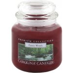 Carolina Candles Exotic Woods 425 g – Hledejceny.cz