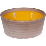 Nohel garden Svíčka CITRONELLA SIRIUS žardinka 850g d18x7cm – Hledejceny.cz