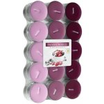Bispol Aura Frozen Berries 30 ks – Sleviste.cz