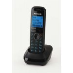 Panasonic KX-TGA551 – Zboží Živě