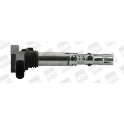 Zapalovací cívka BorgWarner (BERU) ZSE059 – Hledejceny.cz