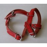 Trixie Clicker s tlačítkem výcviková pomůcka s poutkem – Zboží Dáma