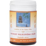 TCM Herbs Pevnost palácového pilíře 100 tablet – Sleviste.cz
