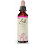 Bachovy květové esence Dub letní Oak 20 ml – Hledejceny.cz