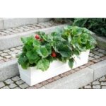 Slunečník Exclusive boční 300, béžový – Hledejceny.cz