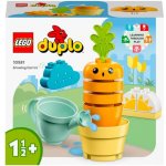 LEGO® DUPLO® 10981 Pěstování mrkve – Zboží Živě