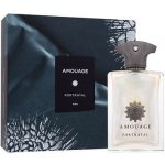 Amouage Portrayal Man parfémovaná voda pánská 100 ml – Hledejceny.cz