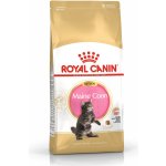 Royal Canin Maine Coon Kitten krmivo pro koťata Maine Coon 10 kg – Hledejceny.cz