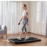 Flow Fitness DTM200i – Hledejceny.cz