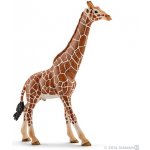 Schleich 14749 Žirafa samec – Hledejceny.cz