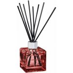 Maison Berger Paris aroma difuzér Cube Proti zápachu z kuchyně Svěží květinová vůně 125 ml – Hledejceny.cz